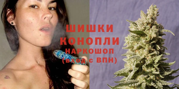 spice Верхний Тагил