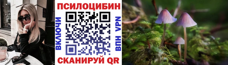Псилоцибиновые грибы ЛСД Лабинск