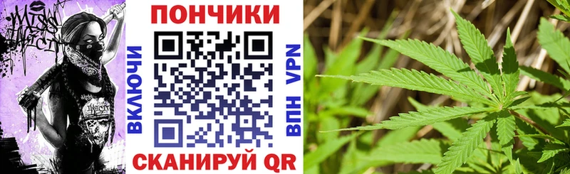 Купить где  Лабинск  Бошки марихуана MAZAR 